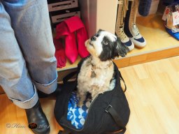 Boutique Must have  28.11.2025